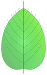 CXOne
